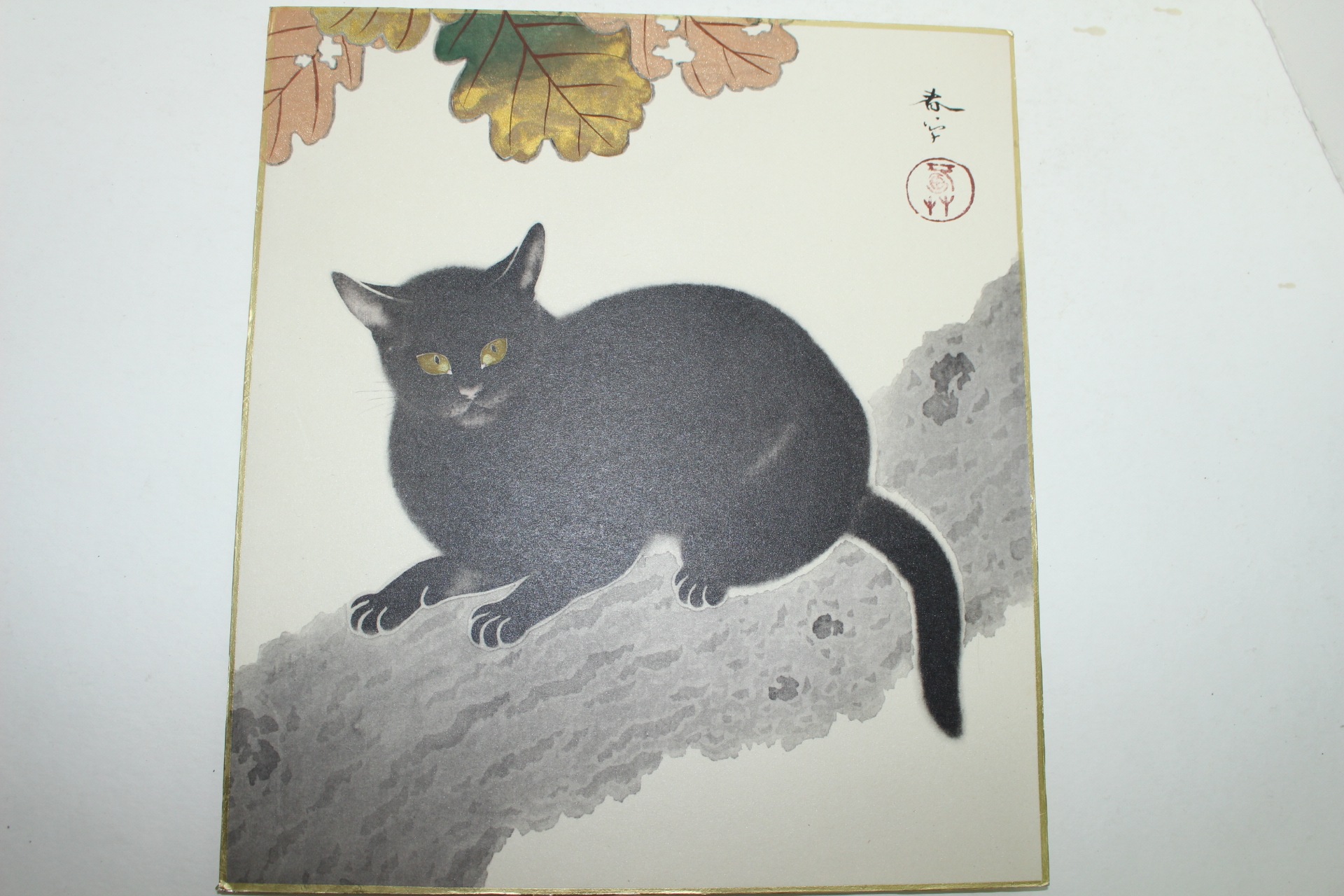 판화류의 고양이 그림