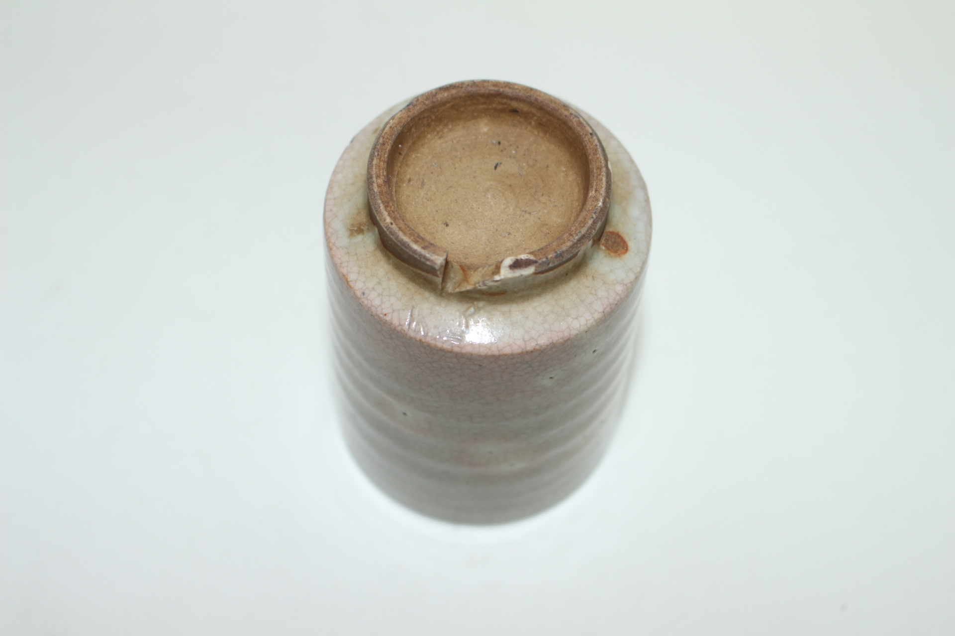 연대가좋은 홍화꽃이 핀 굽따인잔