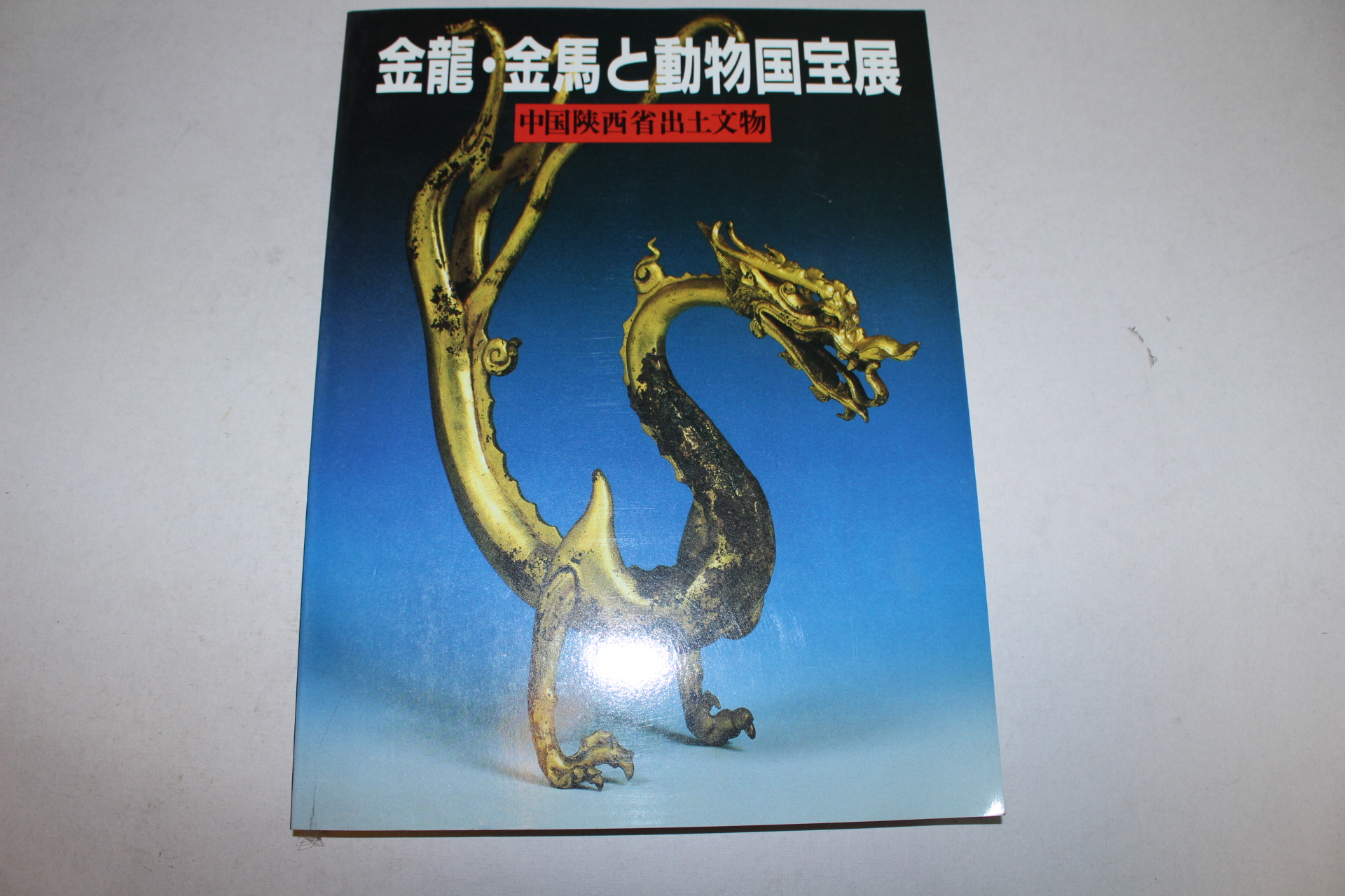 2001년 중국출통유물 도록