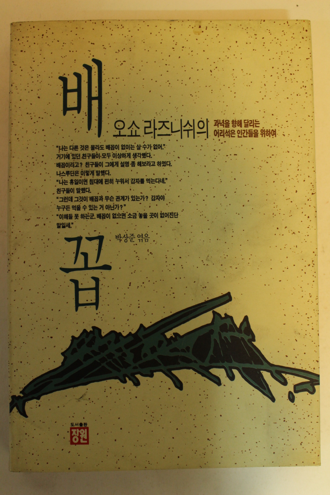 1991년 오쇼라즈니쉬 배꼽