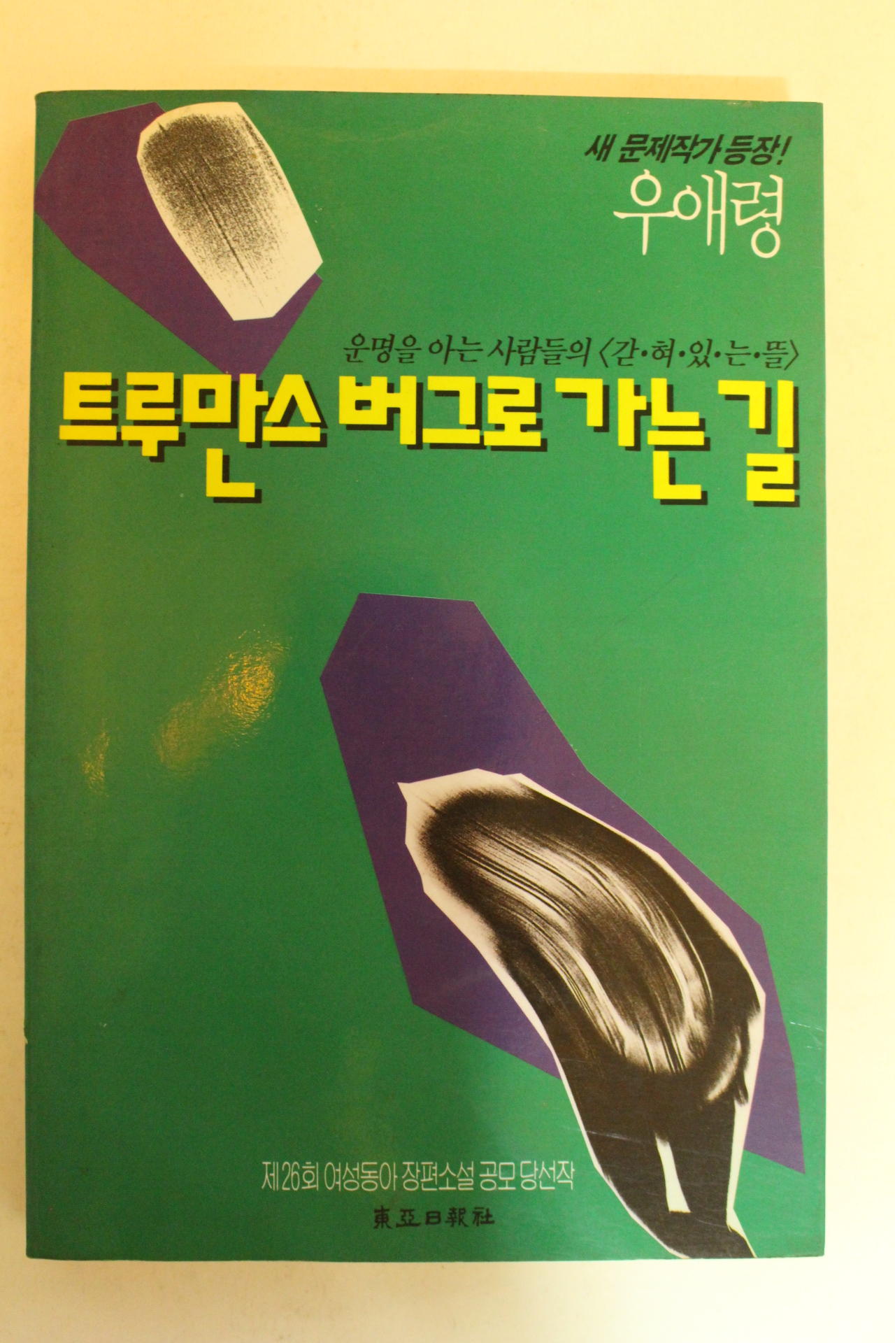 1994년 우애령 투루만스버그로 가는길