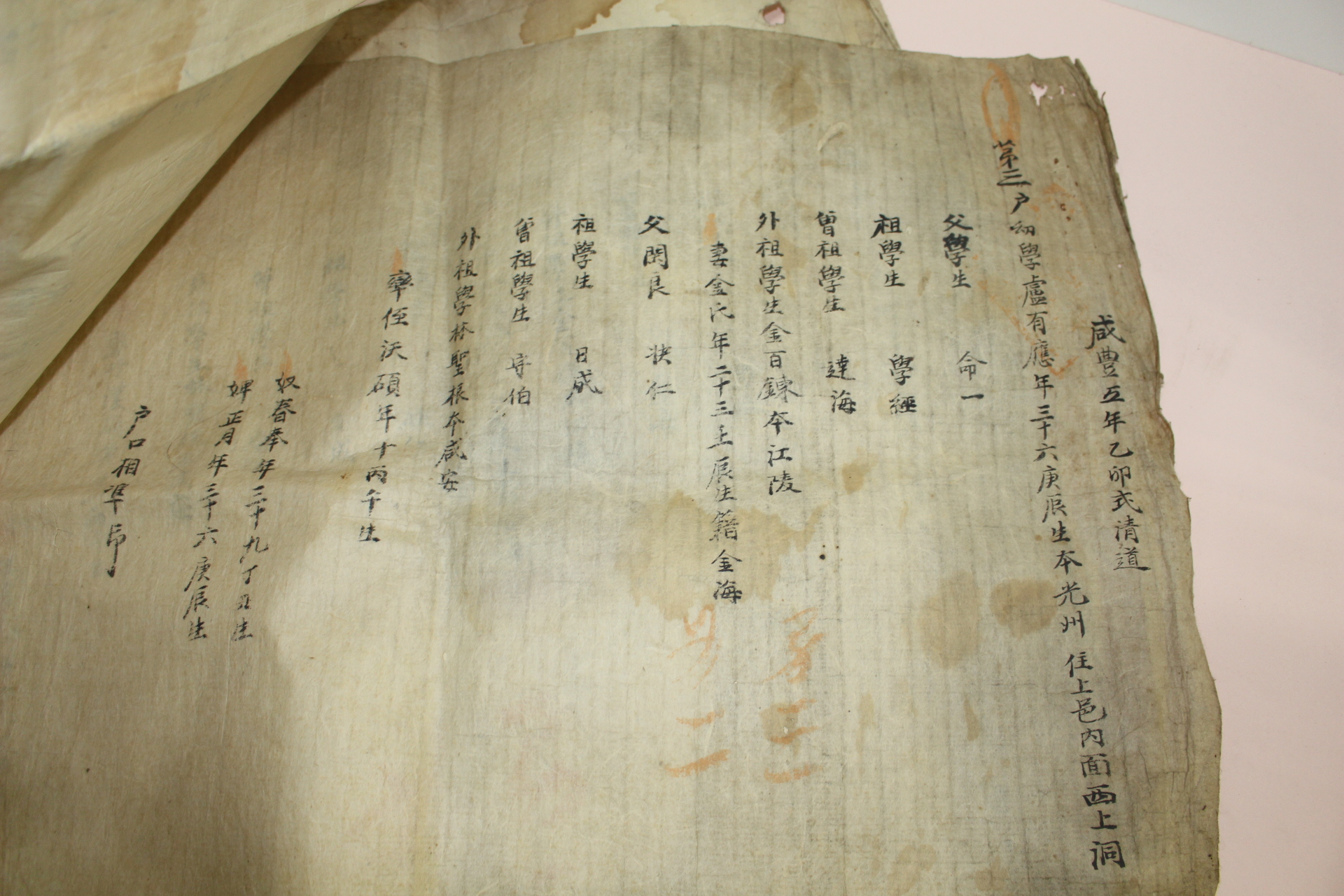 1855년(咸豊5年)~1882년(光緖8年) 광주노씨가 호구단자 8장
