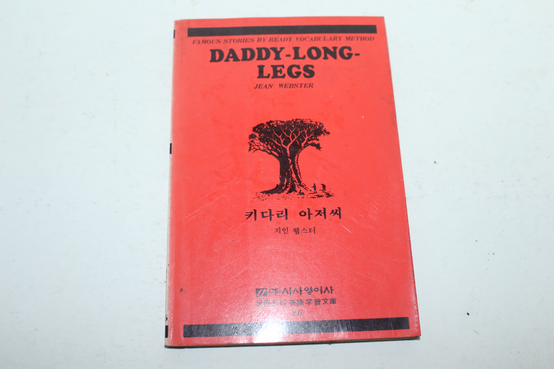 1989년 지인웹스터 키다리 아저씨