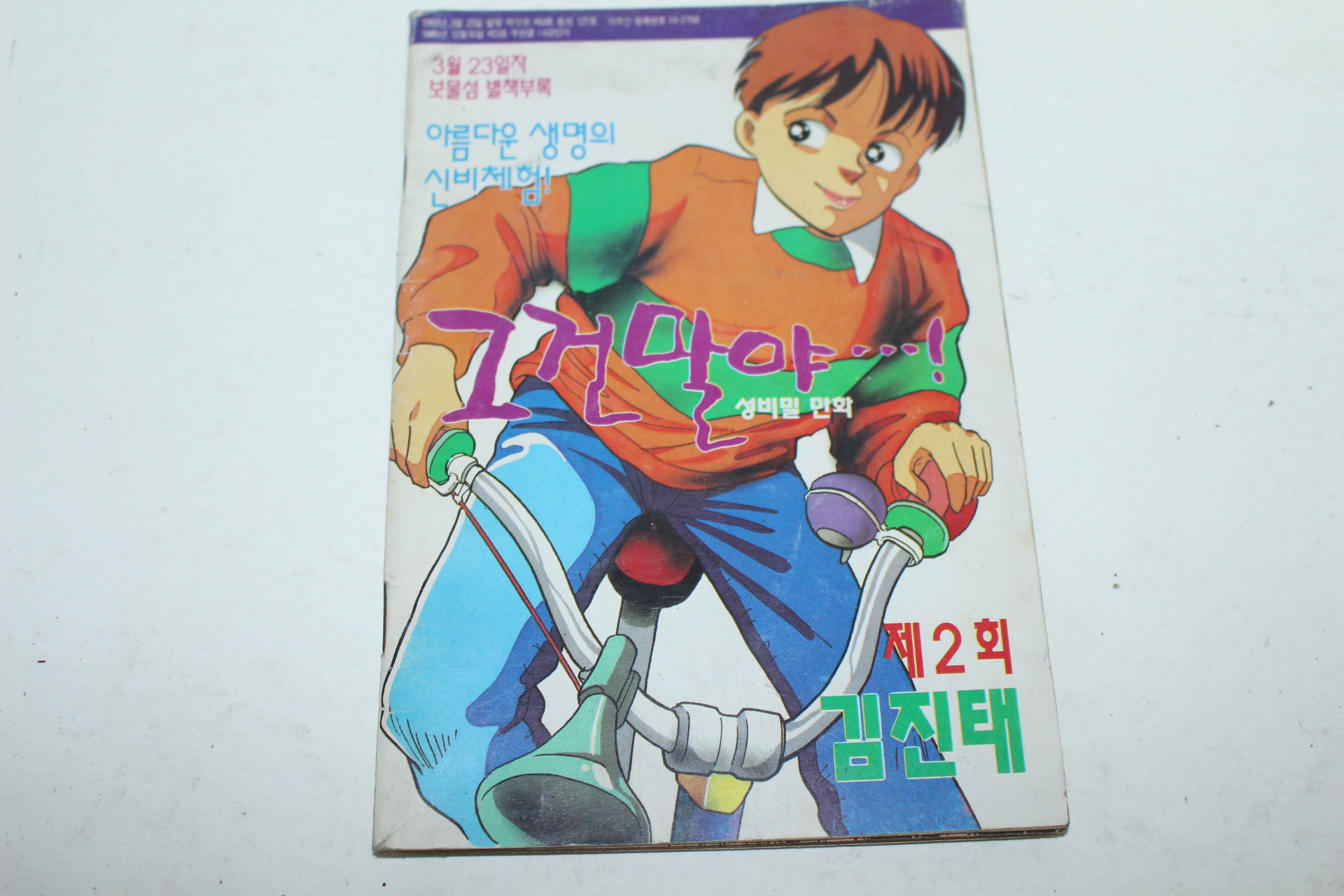 1993년 보물섬별책부록 김진태 성비밀만화 그건말야 2회