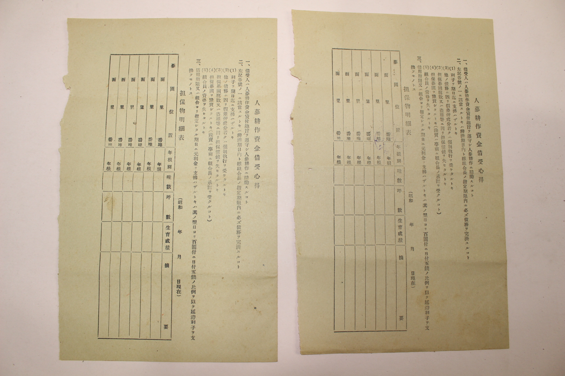 1942년(소화17년) 금산인삼동업조합 인삼경작자금비용증 2장