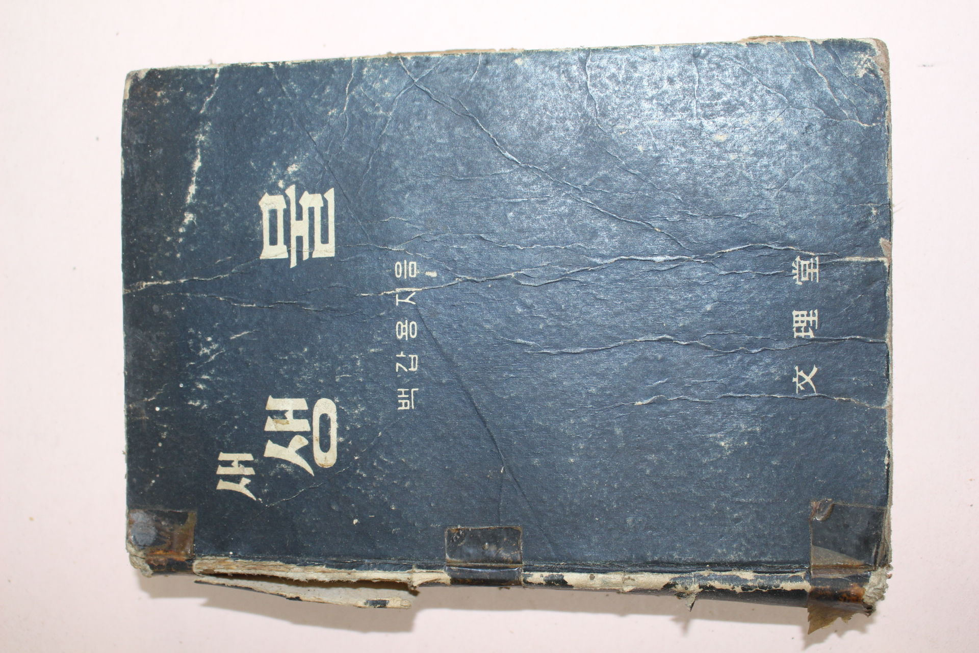 1958년 백갑용 새 생물