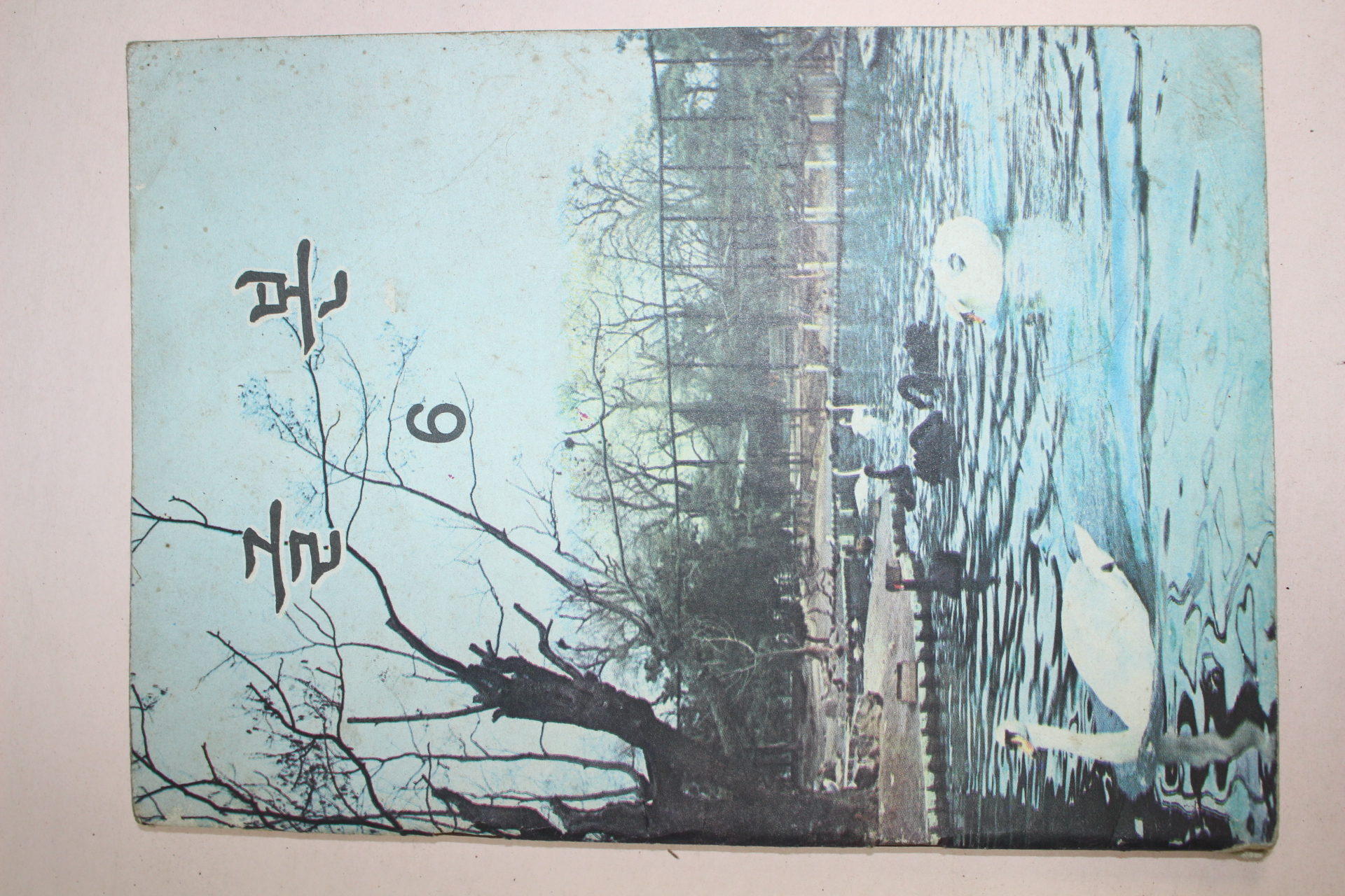 1973년 글본 6