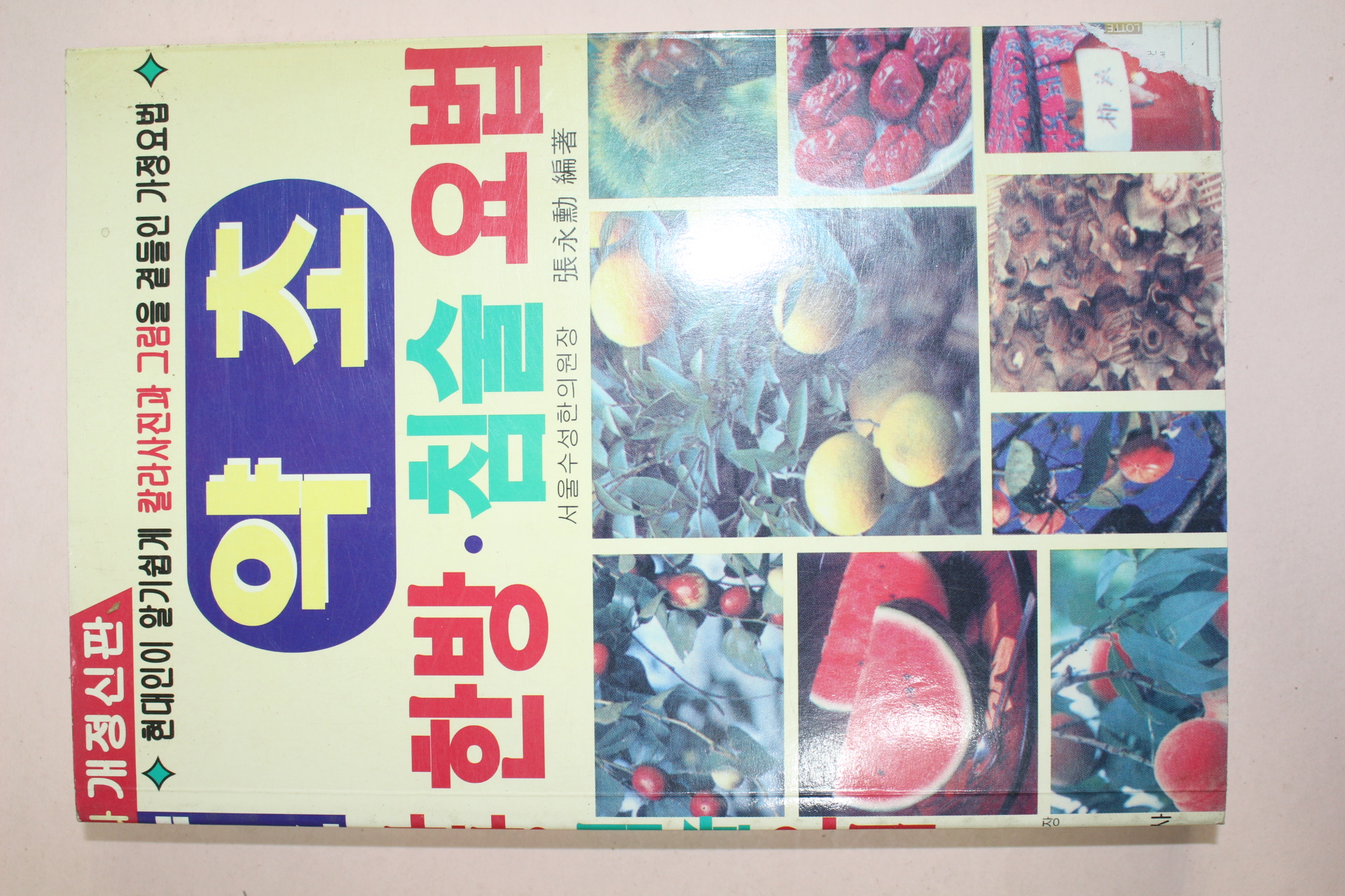 2002년 약초 한방침술요법