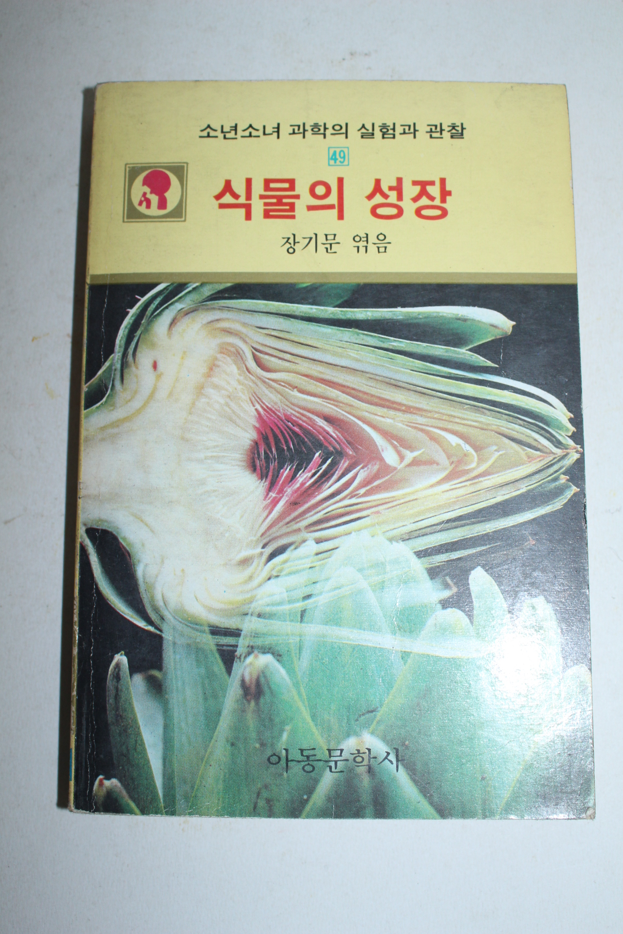 1984년 장기문 식물의 성장