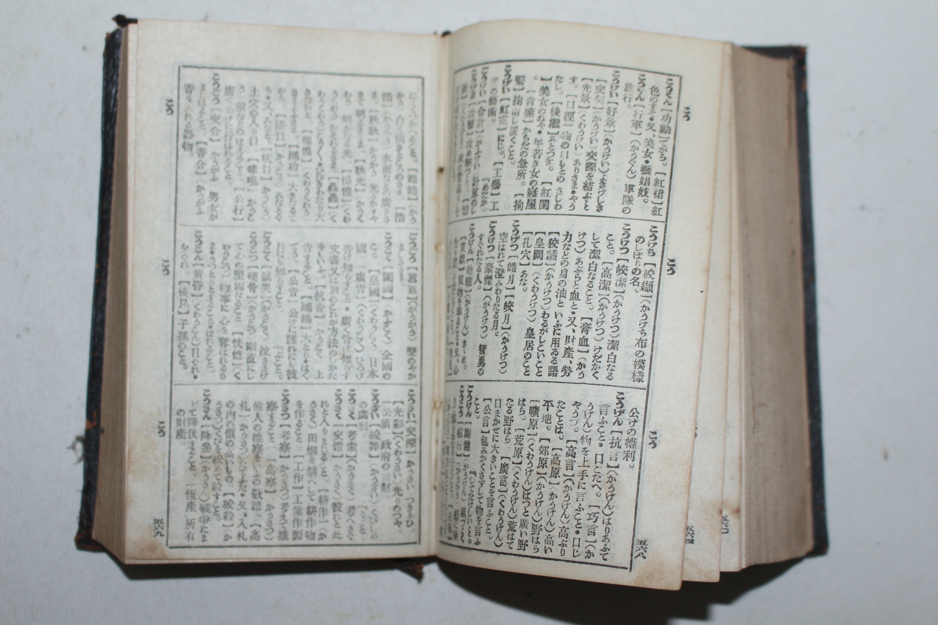 1923년 일본간행 일용문학사전