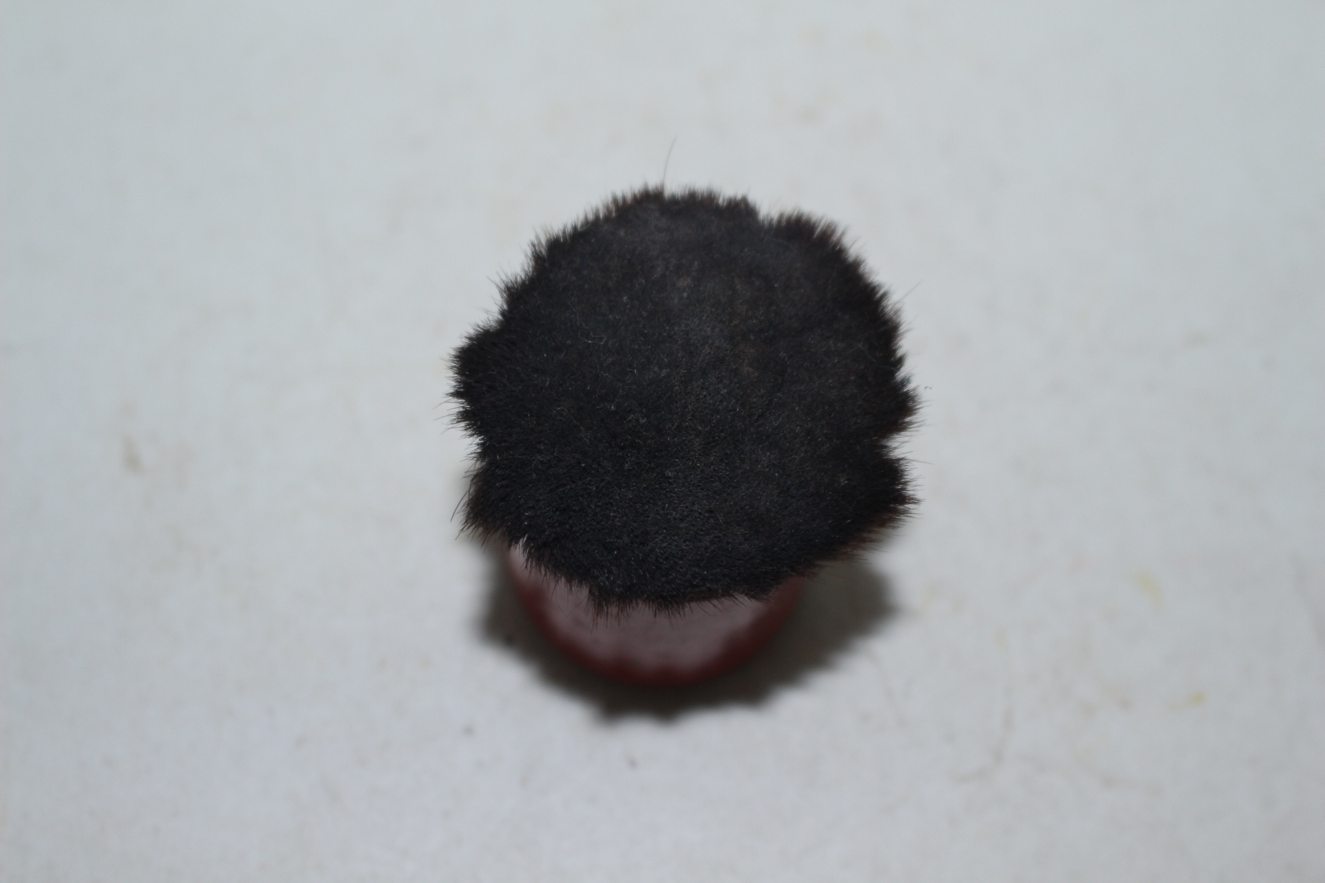 나무에 옷칠화문된 솔