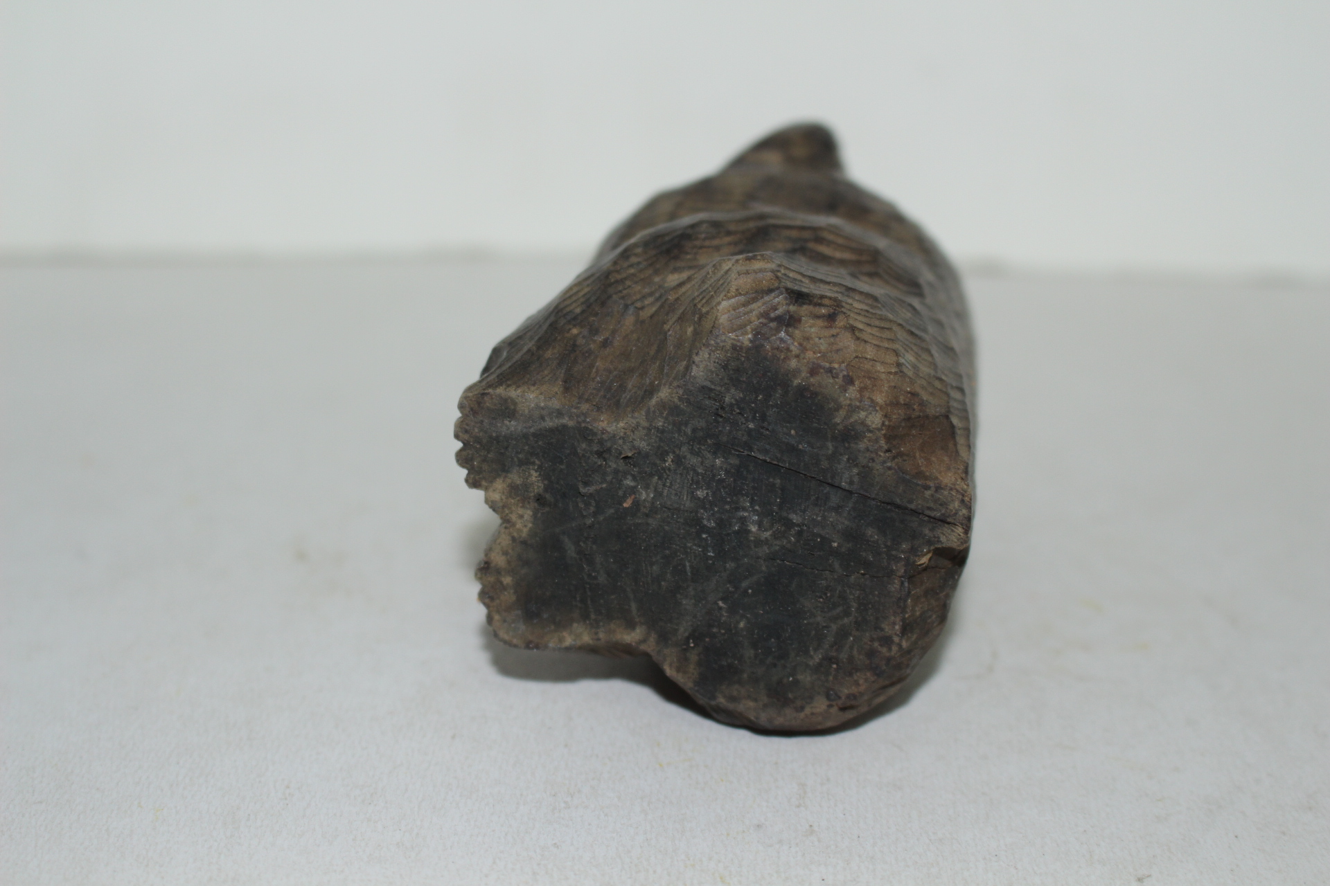 나무를 통으로 조각한 곰 조각상