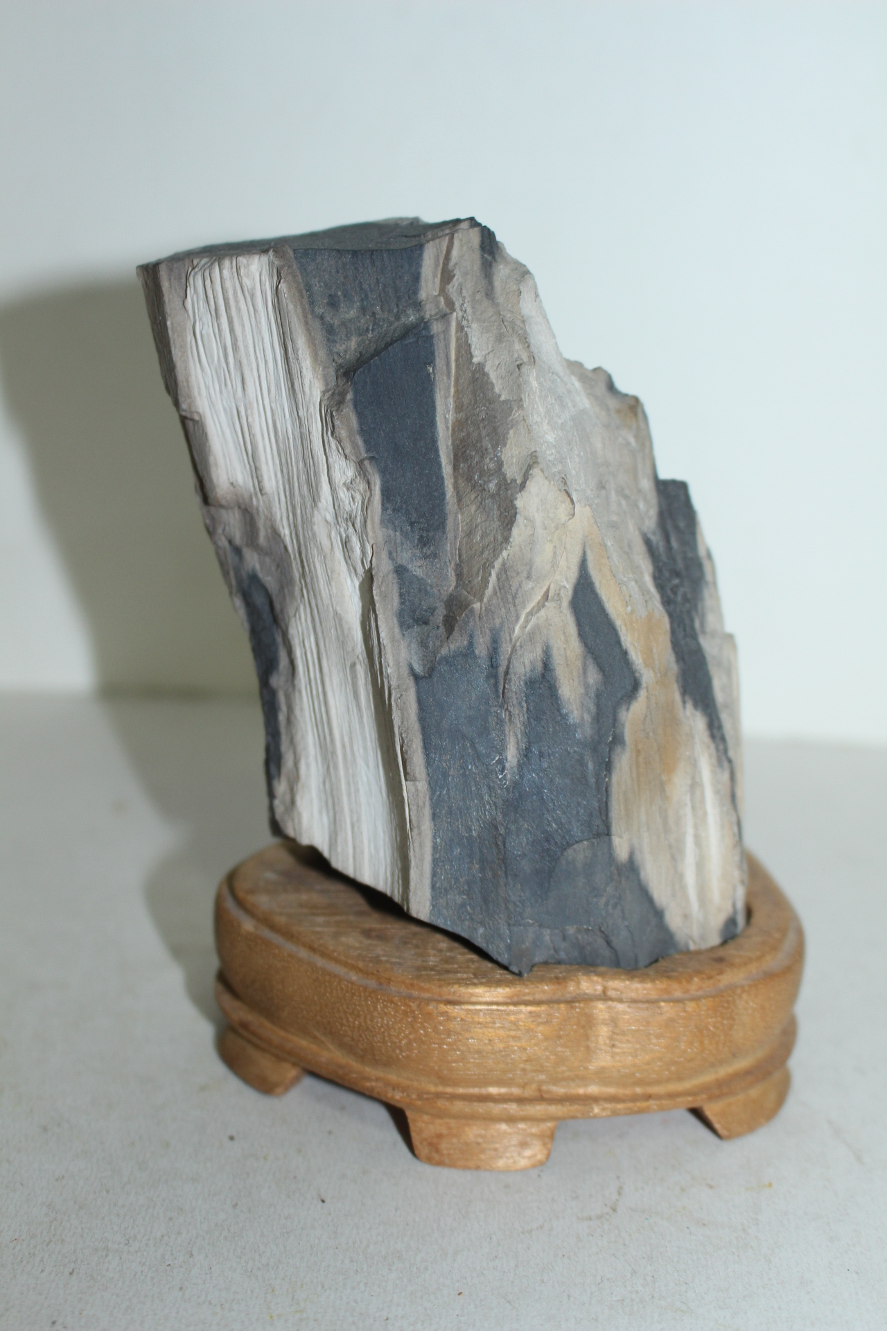 나무화석으로된 수석