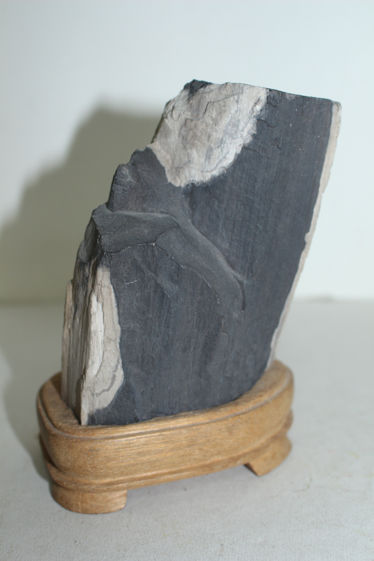 나무화석으로된 수석