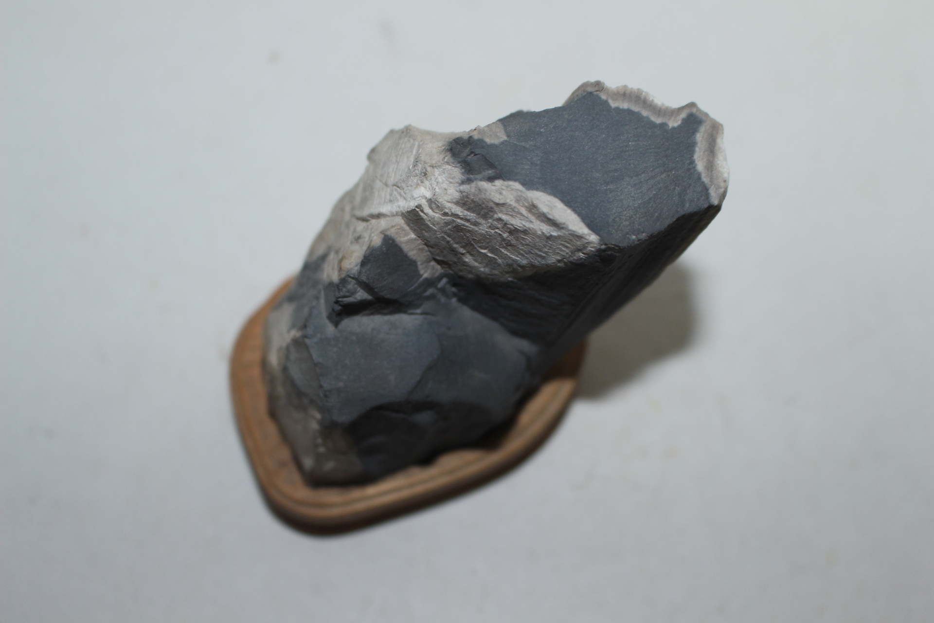 나무화석으로된 수석