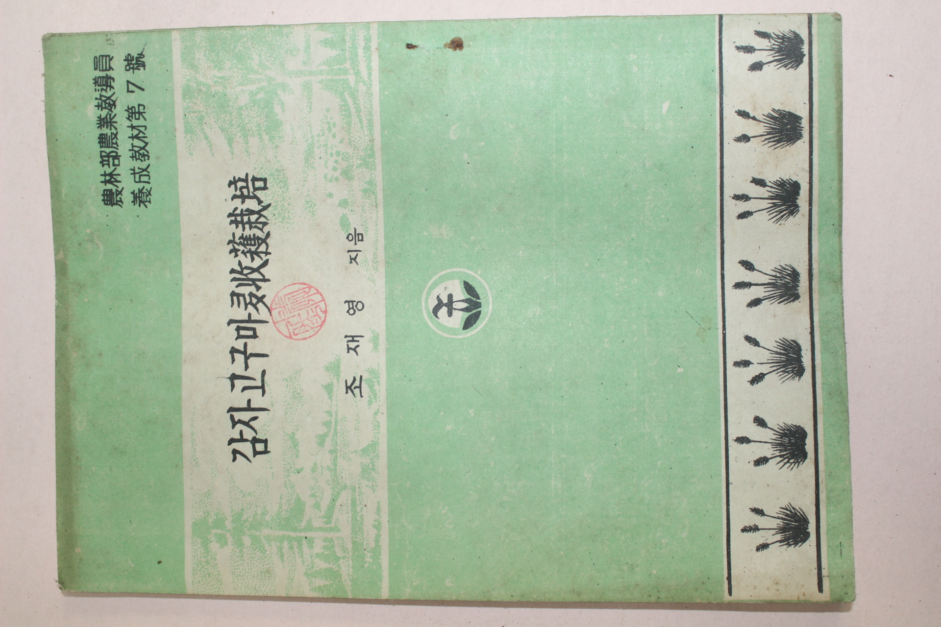 1954년 농림부농업교도원 조재영 감자고구마 다수확재배