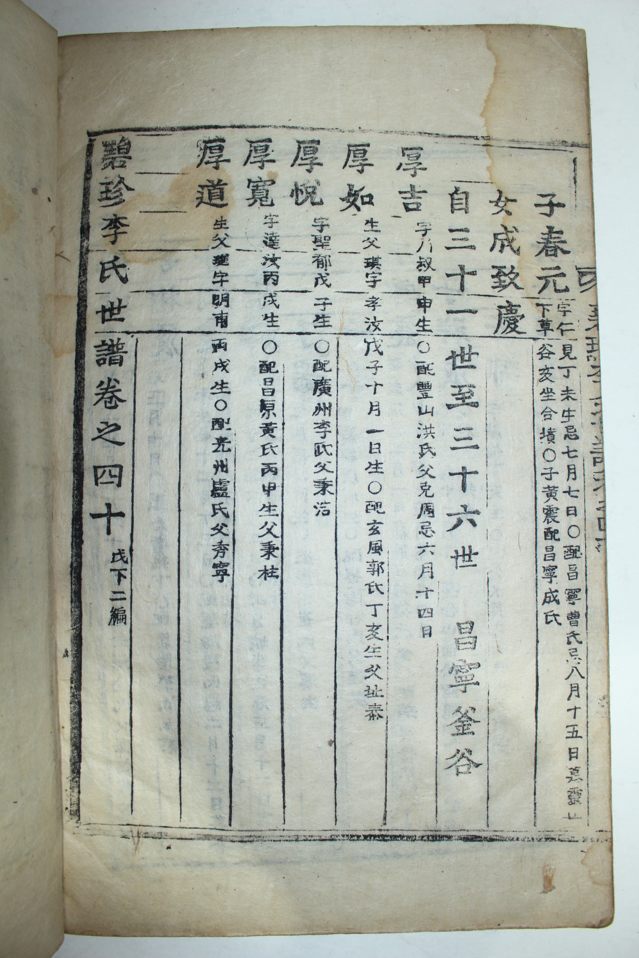 조선시대 고활자본 벽진이씨세보(碧珍李氏世譜)권39상하 성산군파 2책