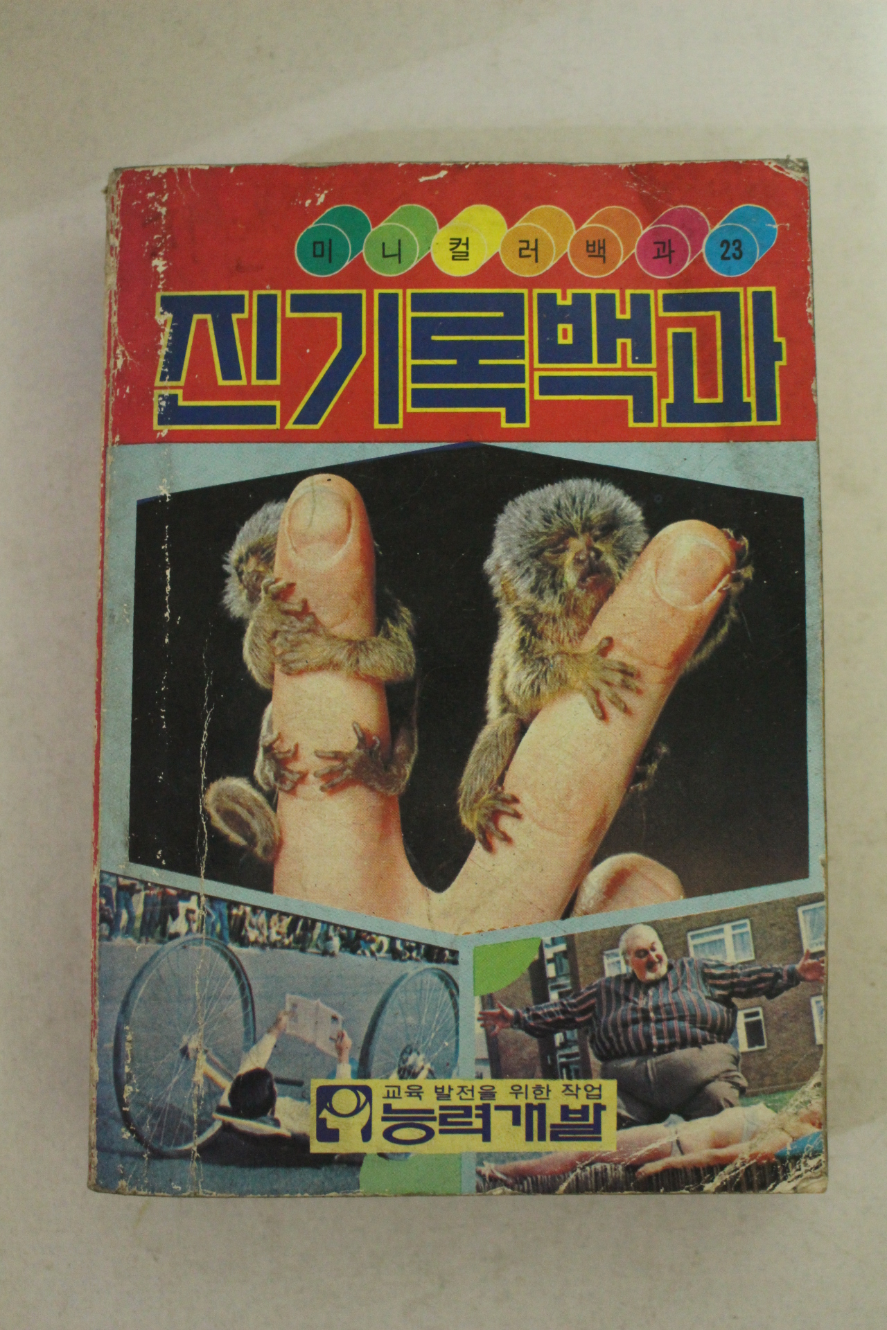 1986년 진기록백과