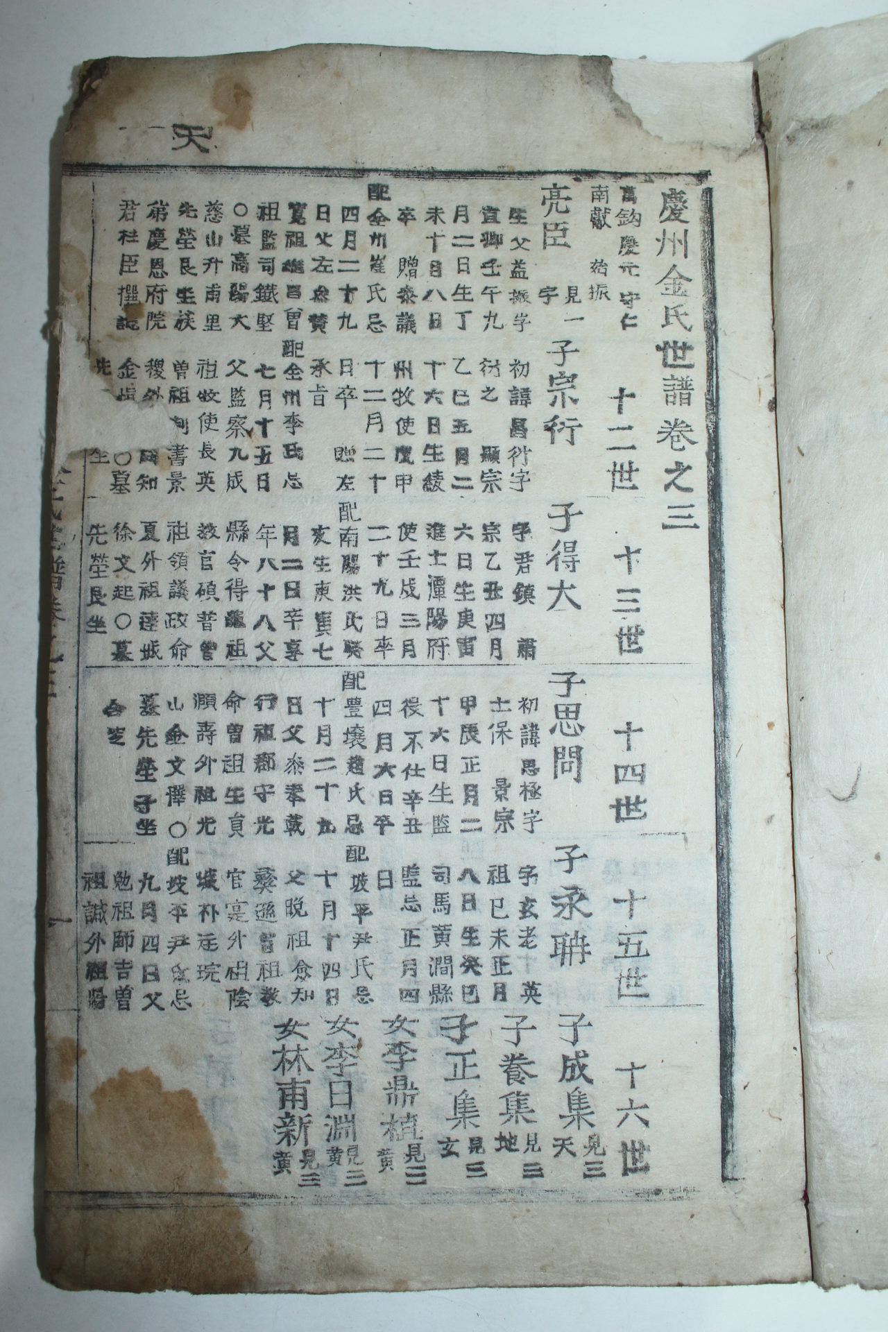 조선시대 목활자본 경주김씨세보(慶州金氏世譜) 4권3책완질