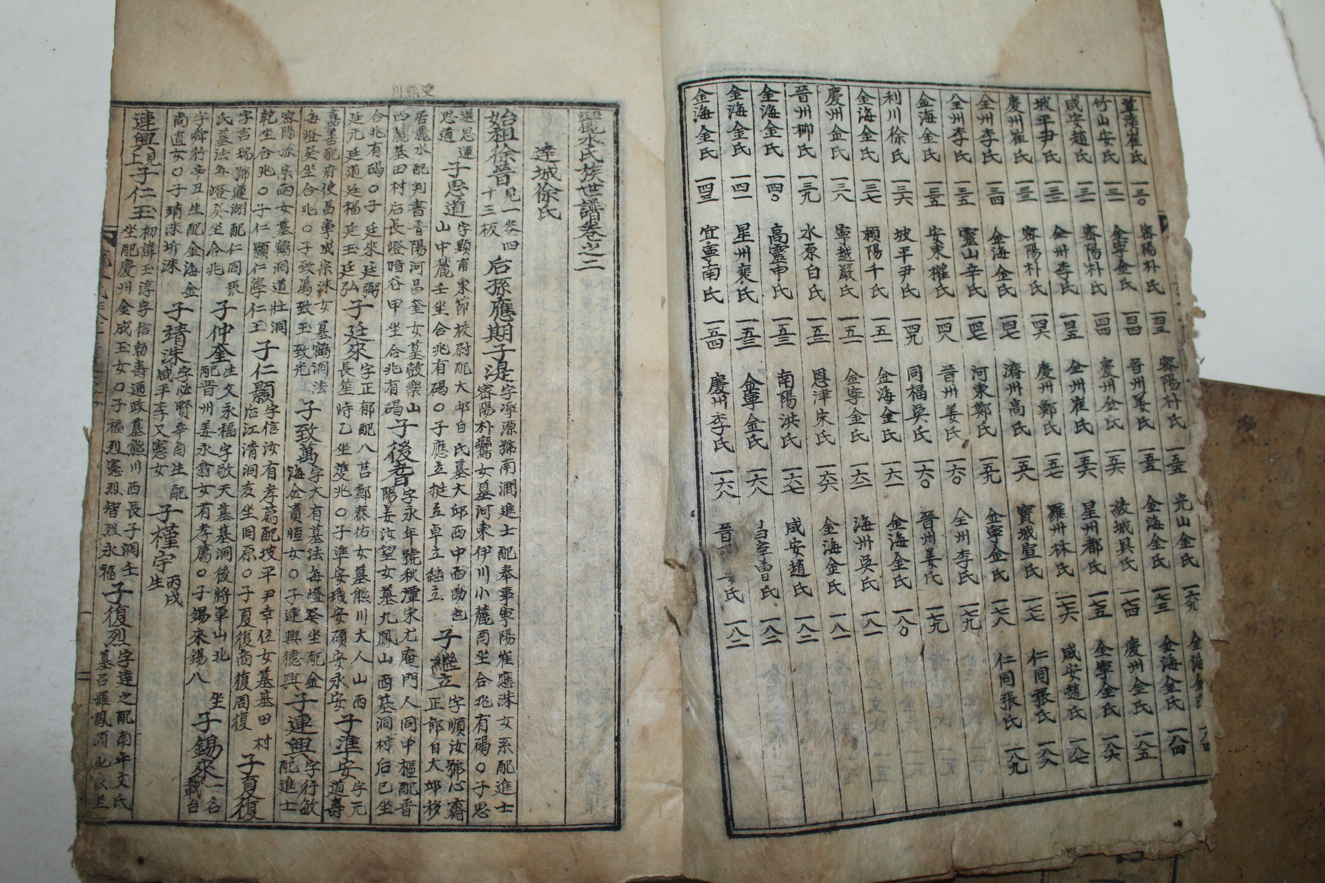 1952년 여수씨족세고(麗水氏族世譜) 2권2책완질