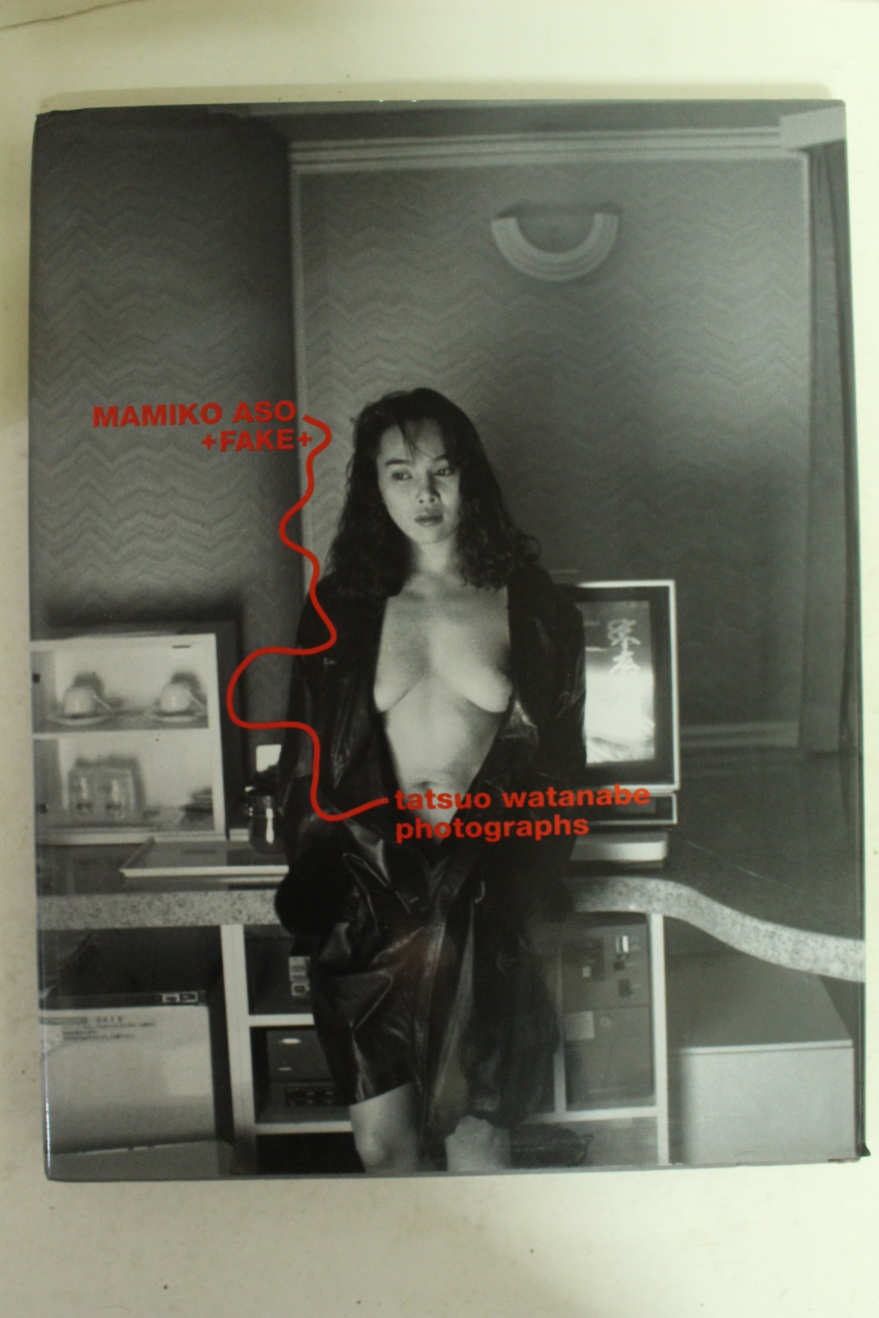 1993년 일본누드사진집
