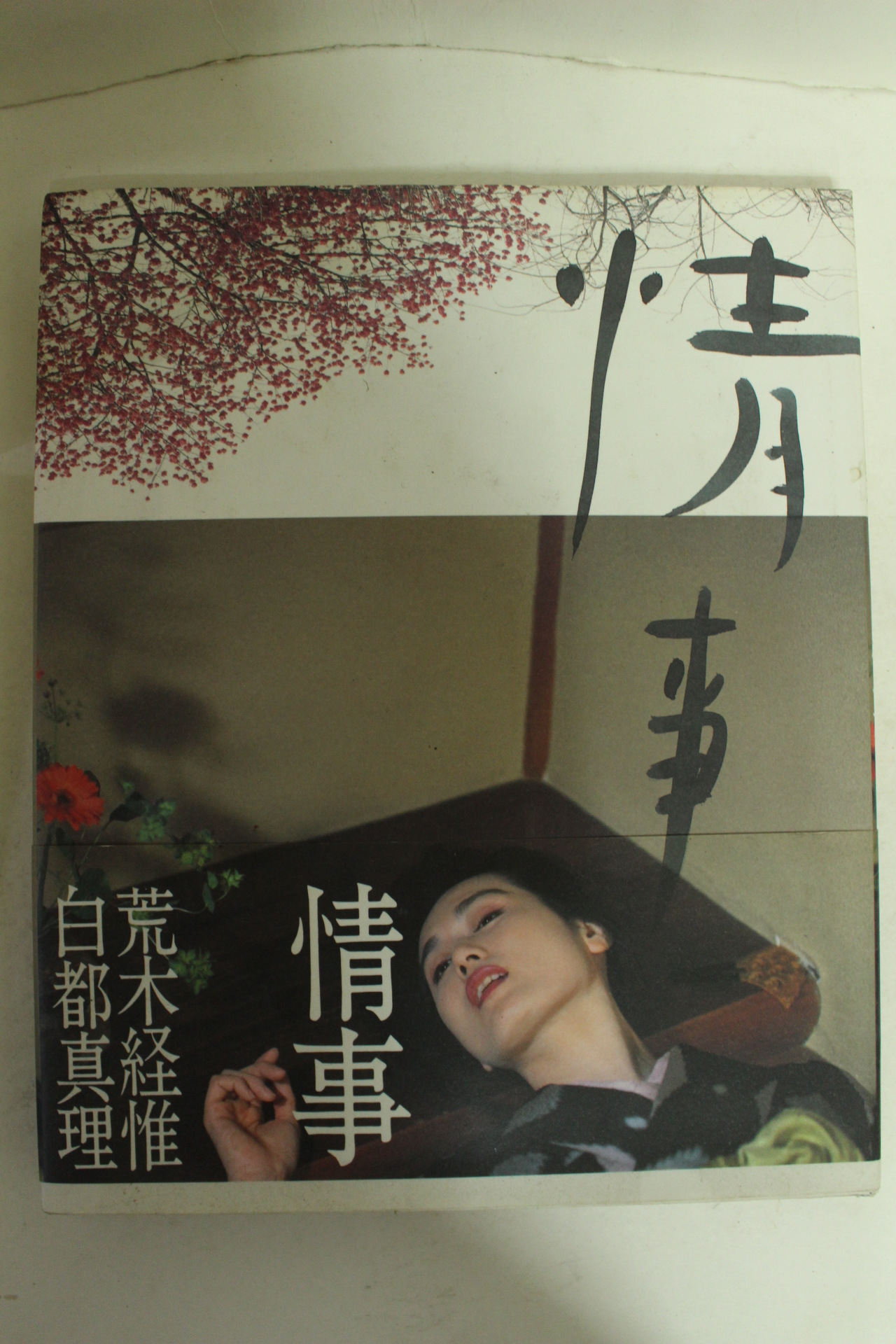 1993년 일본누드사진집