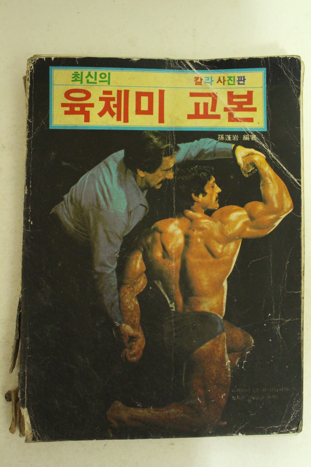 1983년 육체미교본