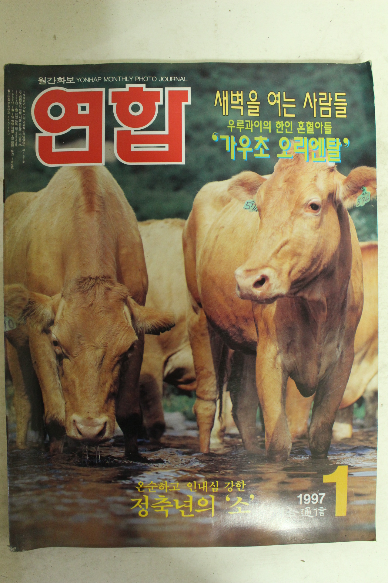 1997년 월간화보 연합 1월호