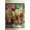 1997년 월간화보 연합 1월호