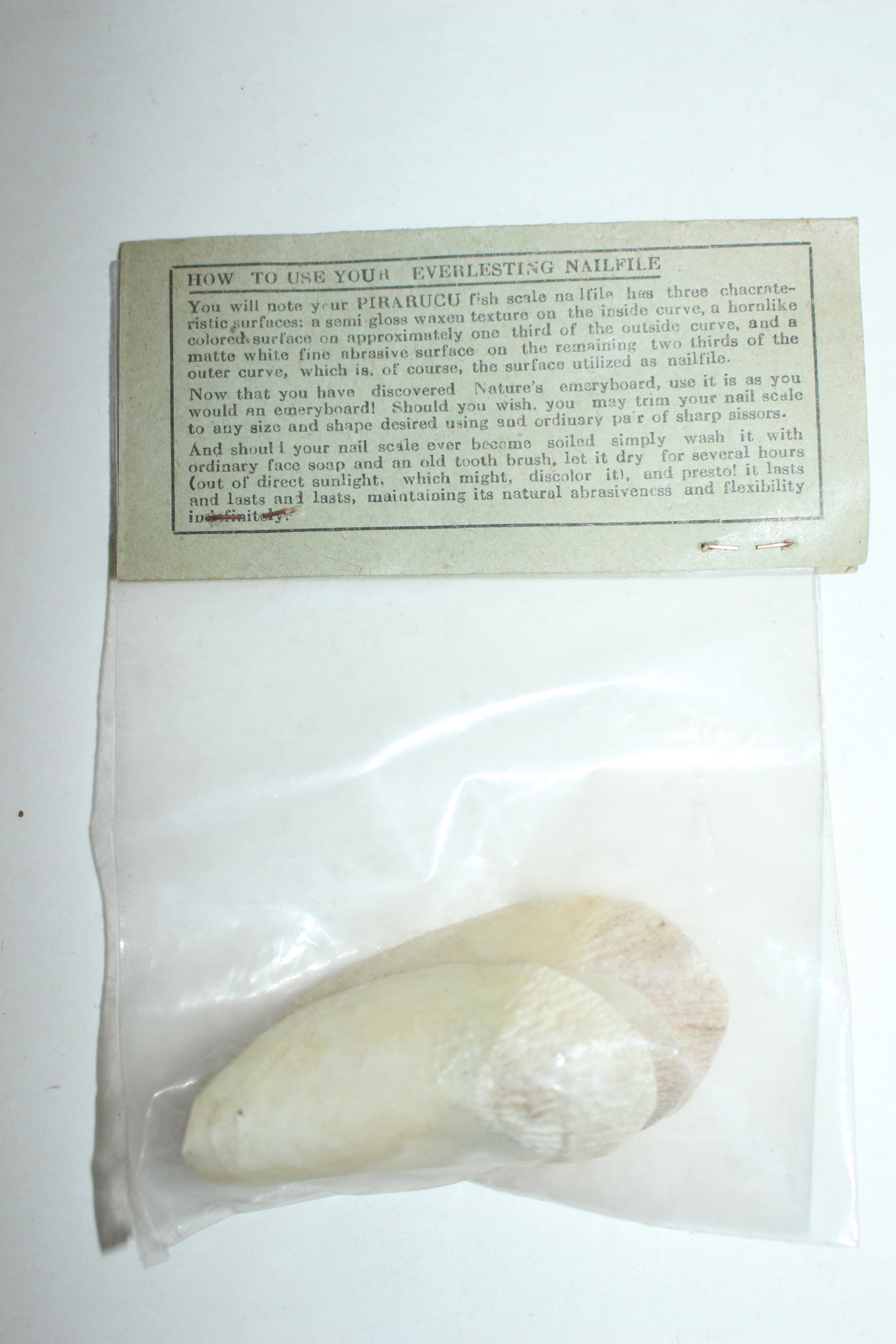 브라질산 세계최대민물고기 피라루쿠 비늘 4점