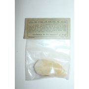 브라질산 세계최대민물고기 피라루쿠 비늘 4점