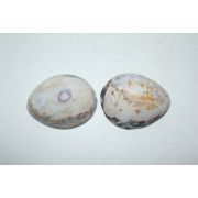 조개껍질에 그림이 있는 잔 2점