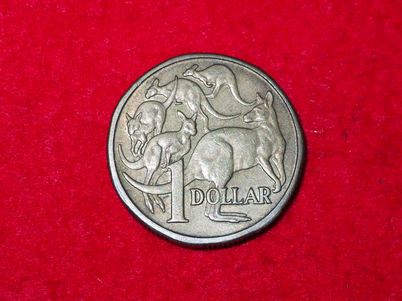 1984년 오스트레일리아 동전