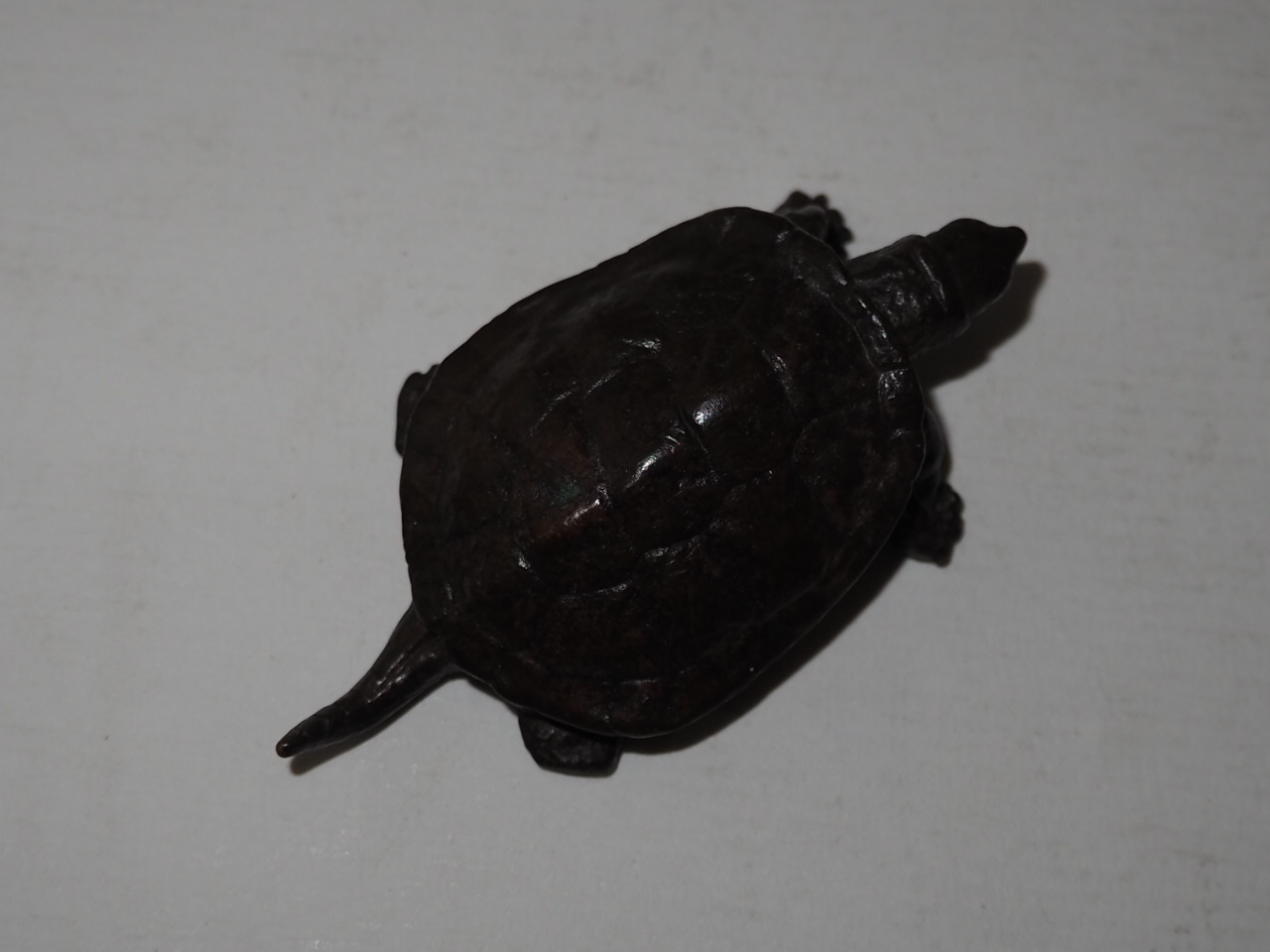 청동으로된 거북이 조각