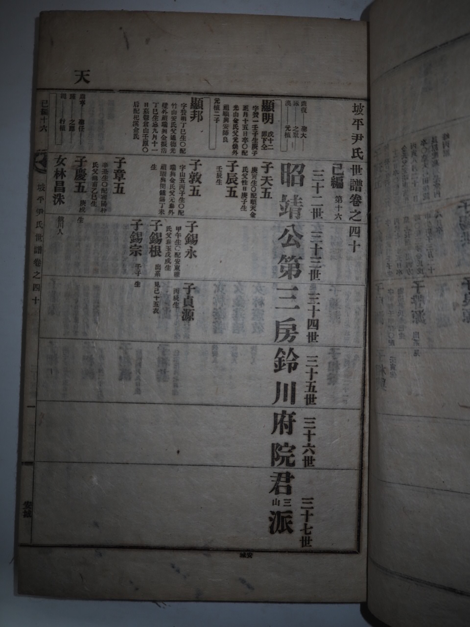 연활자본 파평윤씨세보(坡平尹氏世譜) 13책