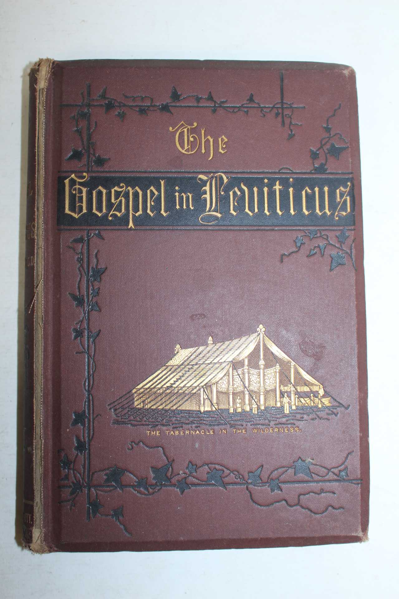 1879년 영국간행 레비티쿠스 복음서 GOSPEL IN LEVITICUS