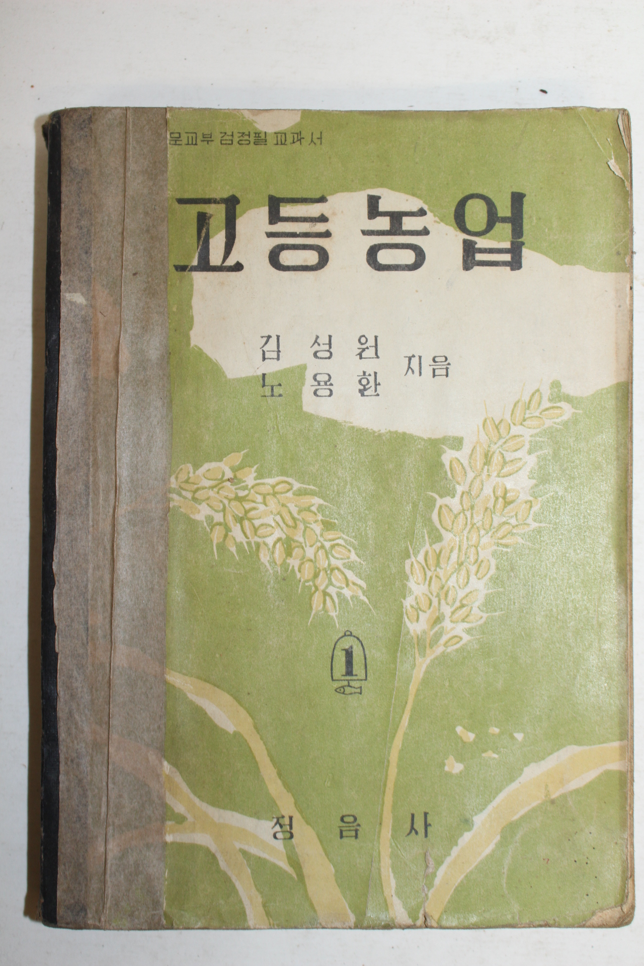 1956년 고등농업