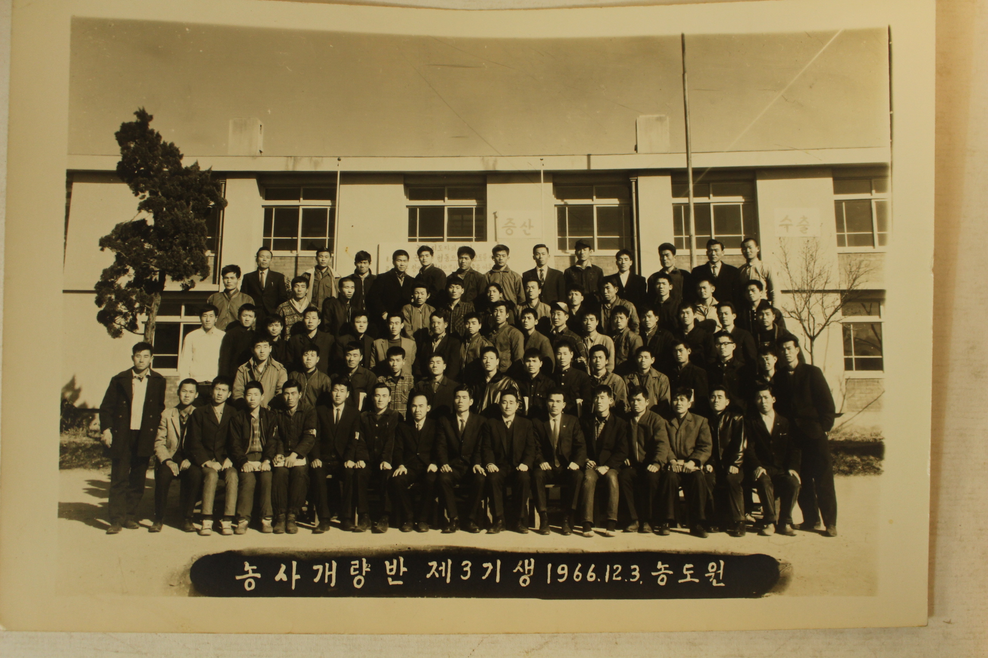 1963년,65년,66년 경상북도 공무원,생활개선반,농사개량반 등 사진일괄 24장