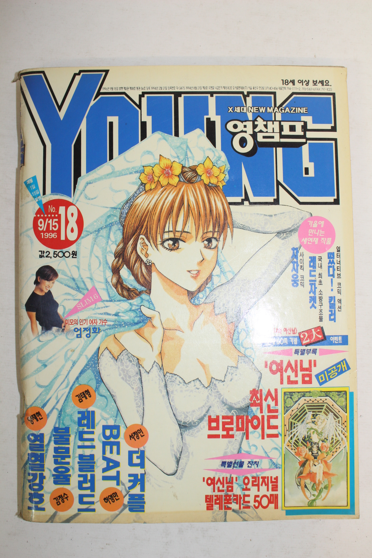 1996년 영챔프 9월15일자 만화잡지