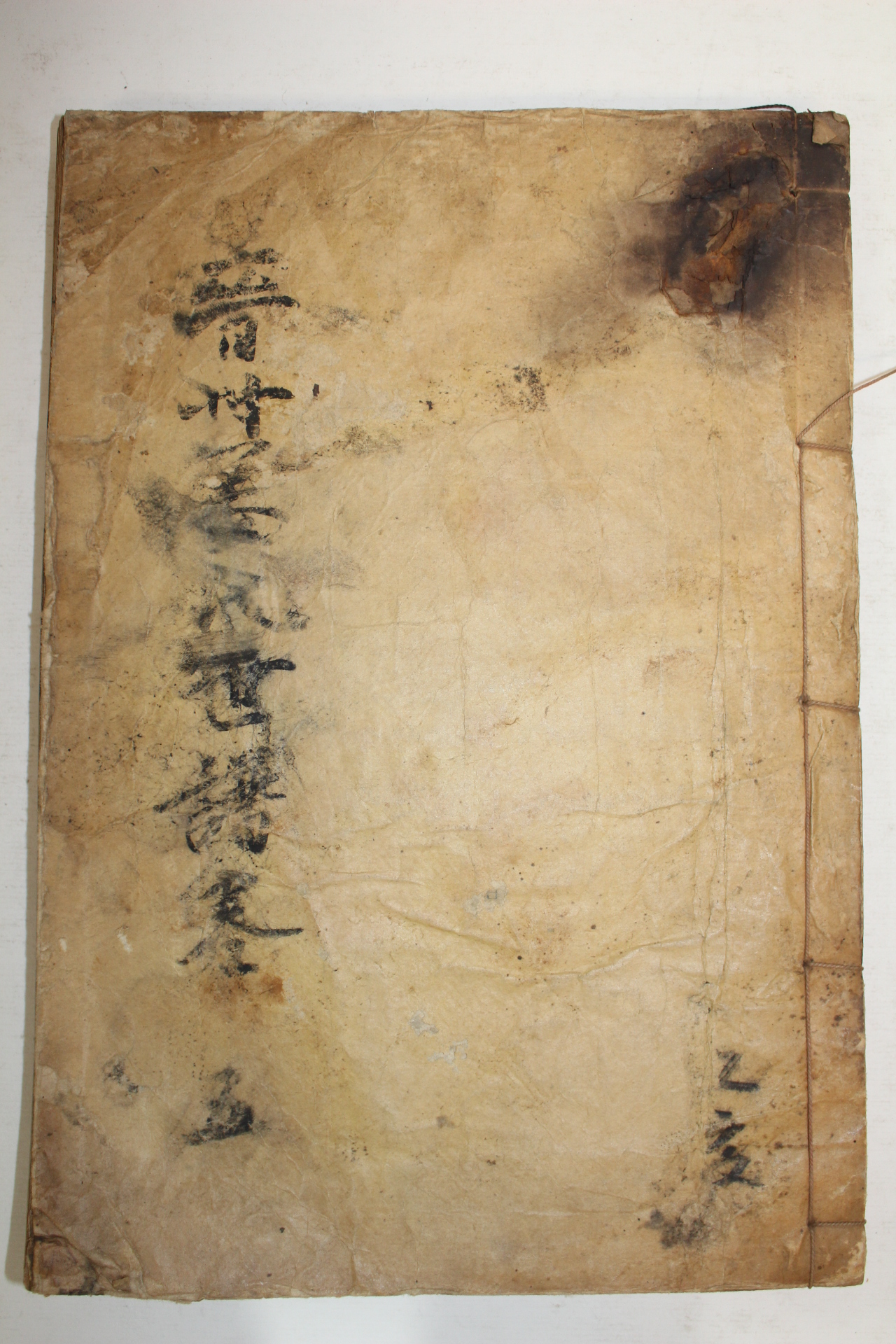 연활자본 진주강씨세보(晉州姜氏世譜)권5  1책