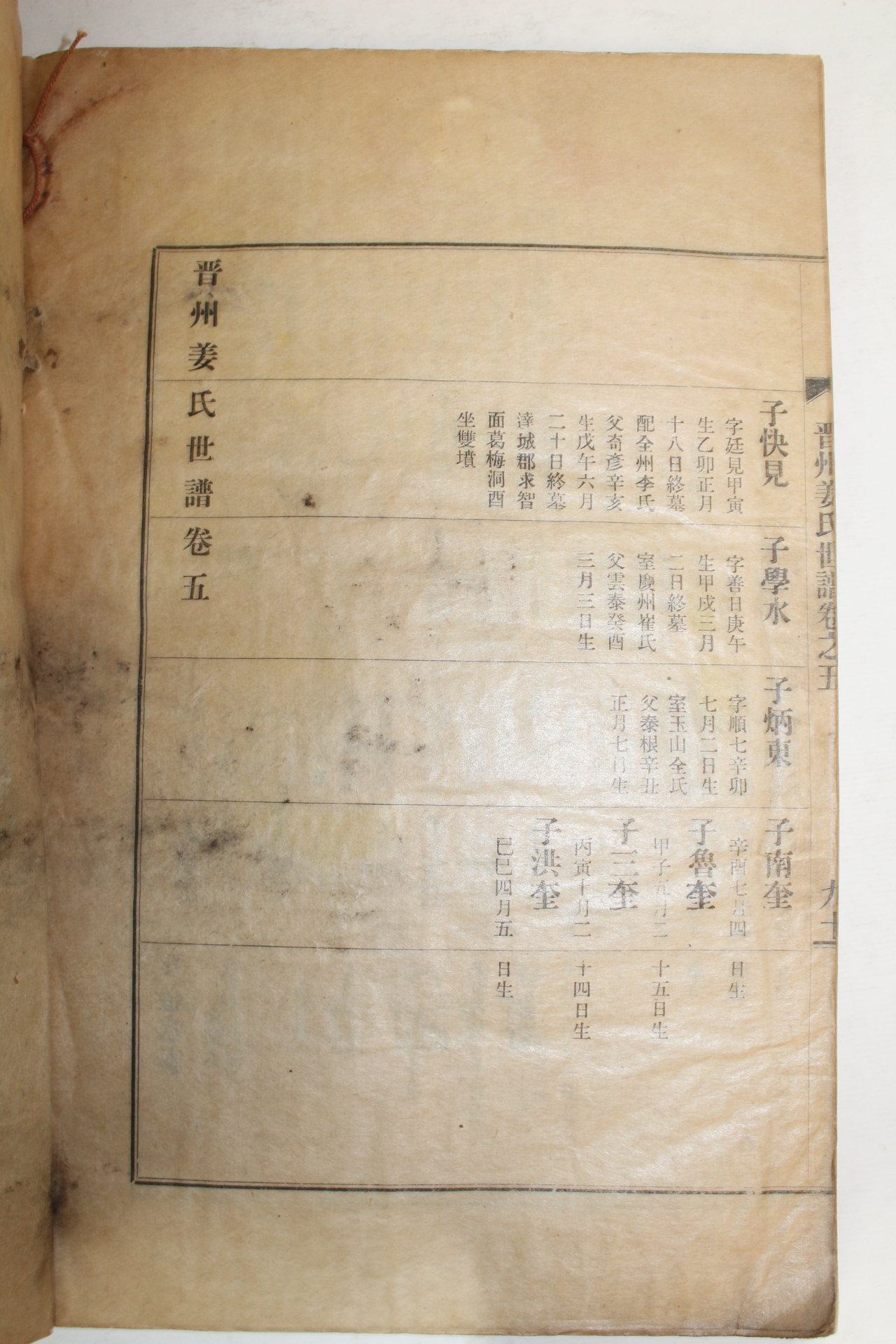 연활자본 진주강씨세보(晉州姜氏世譜)권5  1책