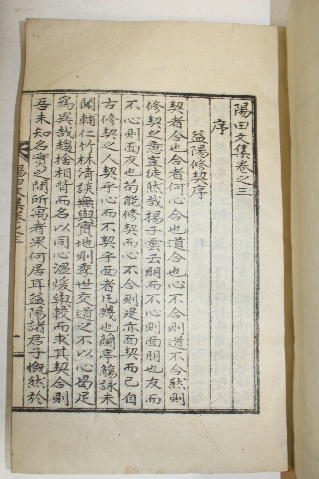 석판본 이상호(李祥鎬) 양전문집(陽田文集) 2책