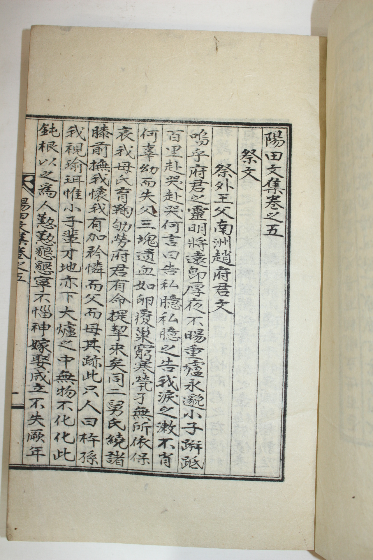 석판본 이상호(李祥鎬) 양전문집(陽田文集) 2책