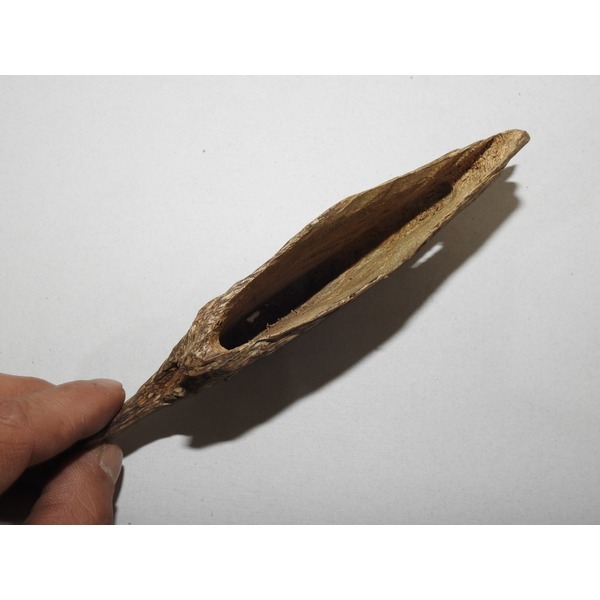 원목 침향(沈香) 20그람