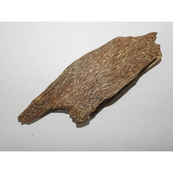 원목 침향(沈香) 20그람