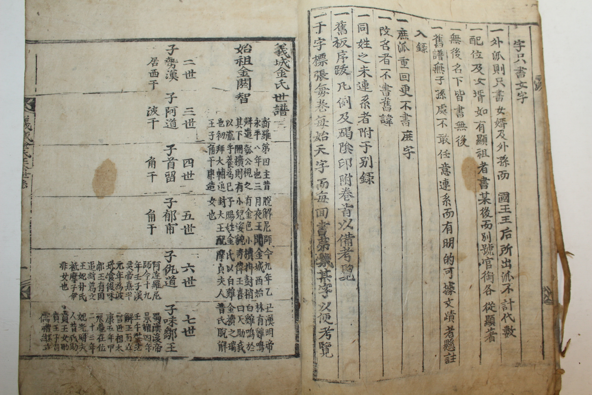 1802년(상지2년) 목활자본 의성김씨세보(義城金氏世譜)권1  1책