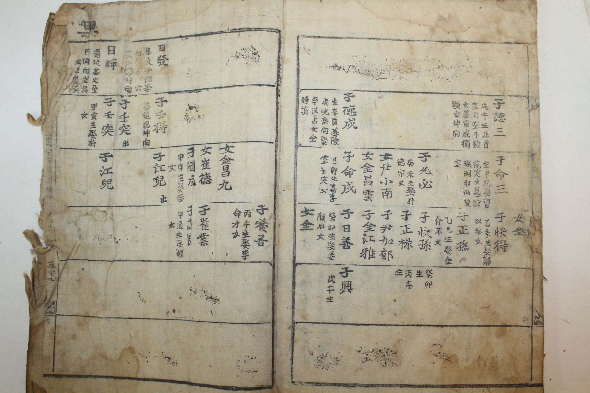 1802년(상지2년) 목활자본 의성김씨세보(義城金氏世譜)권1  1책