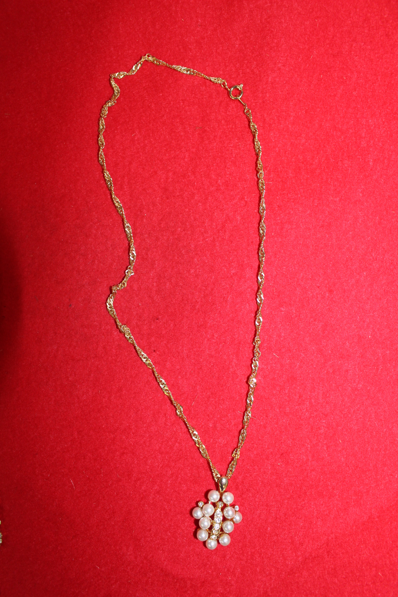 진주가 장식된 목걸이