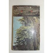 1975년 김소운(金素雲) 동경(東京)