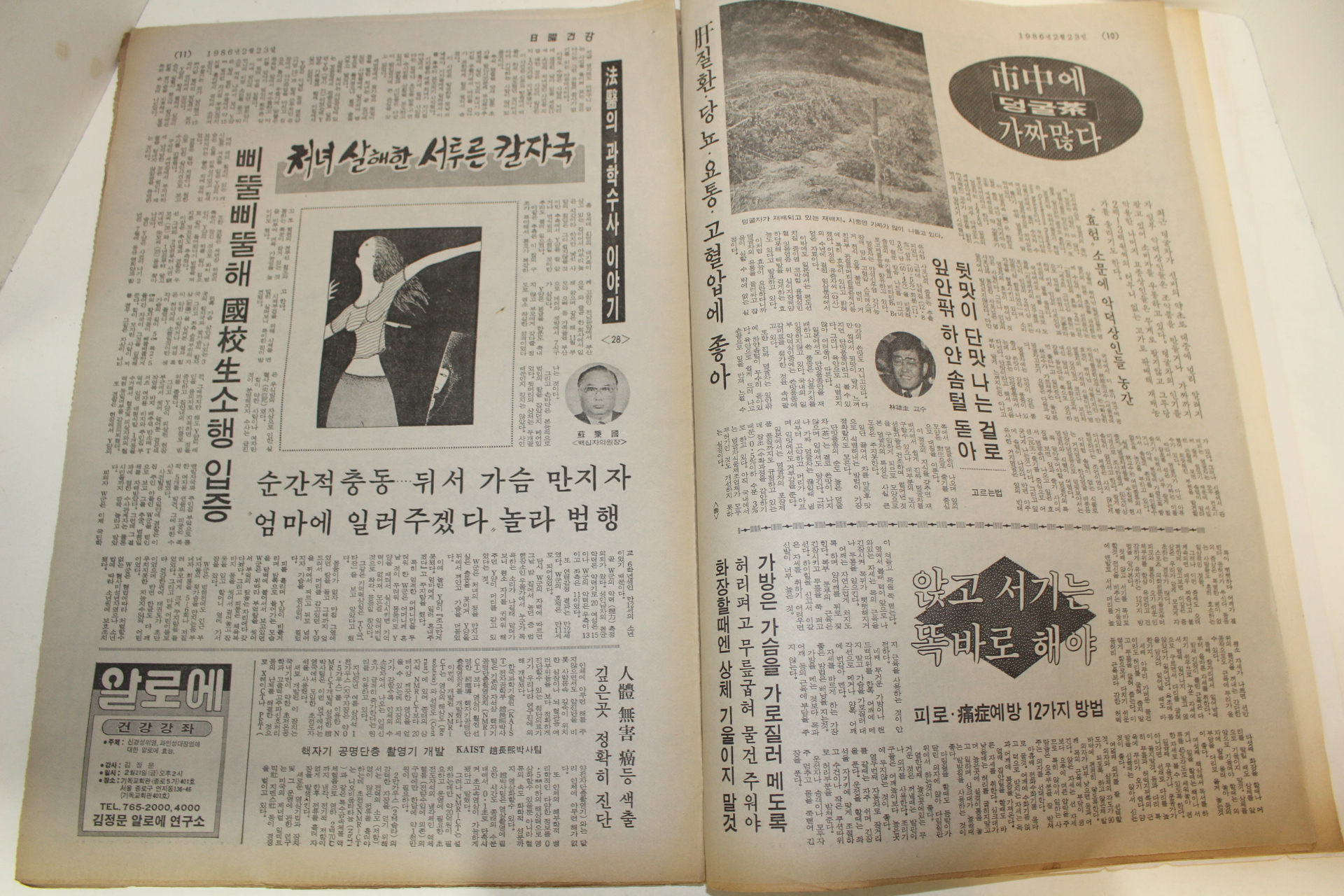 1986년 주간일요건강 잡지 2월23일자